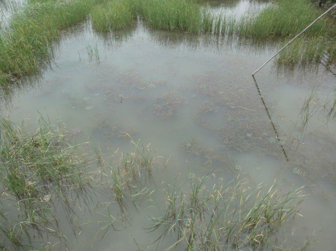 查看照片详细信息 天下民宿