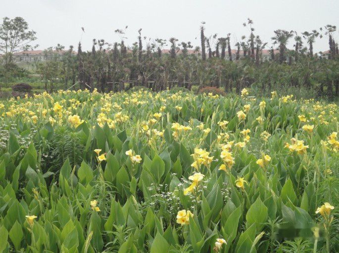 查看照片详细信息 天下民宿