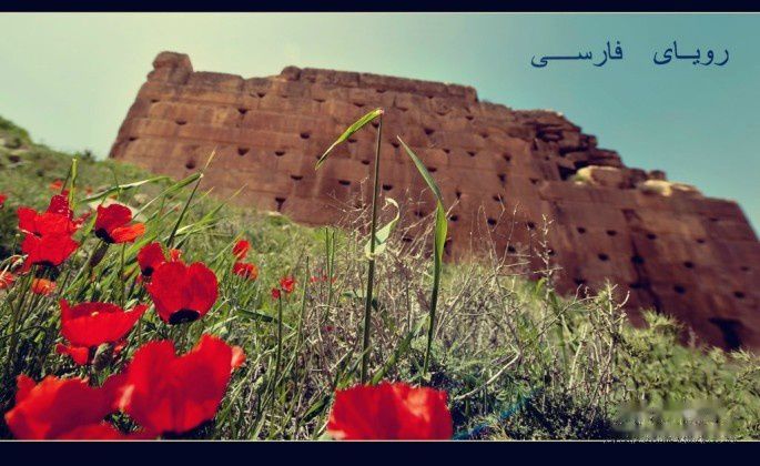 查看照片详细信息 天下民宿