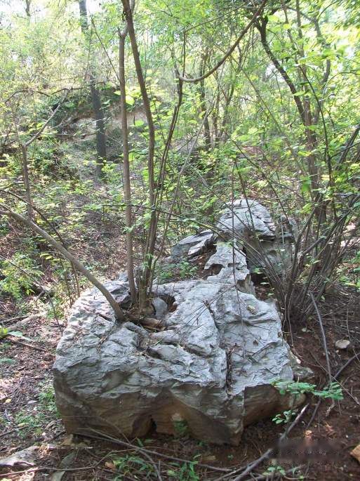 查看照片详细信息 天下民宿