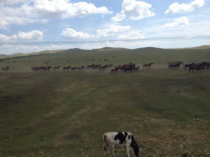 查看照片详细信息 天下民宿