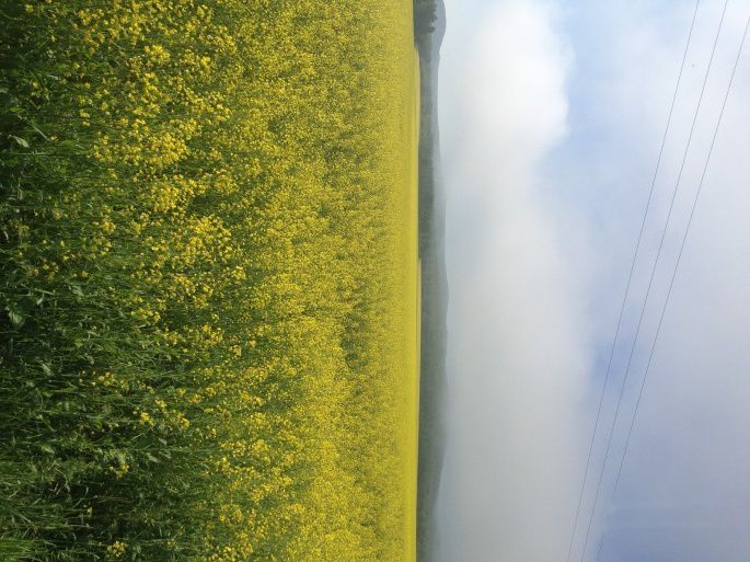 查看照片详细信息 天下民宿