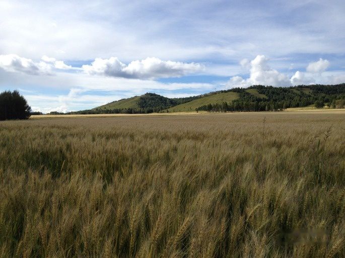 查看照片详细信息 天下民宿