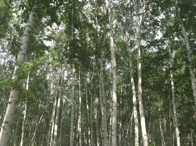 查看照片详细信息 天下民宿