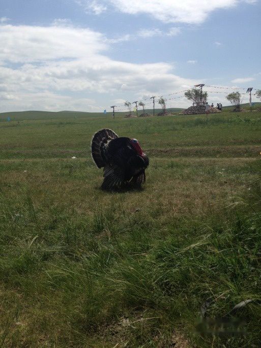 查看照片详细信息 天下民宿