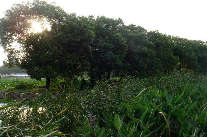 点击跳到上一张