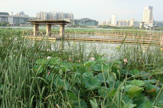 点击跳到上一张