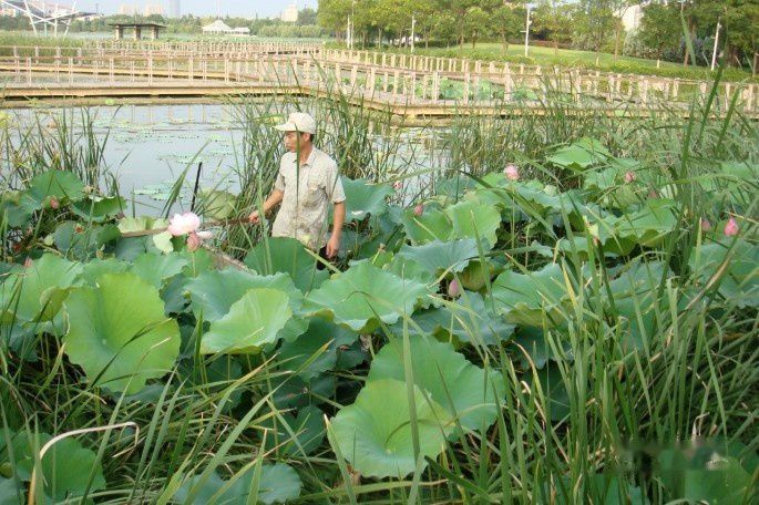 点击跳到下一张