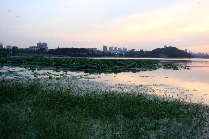 点击跳到上一张