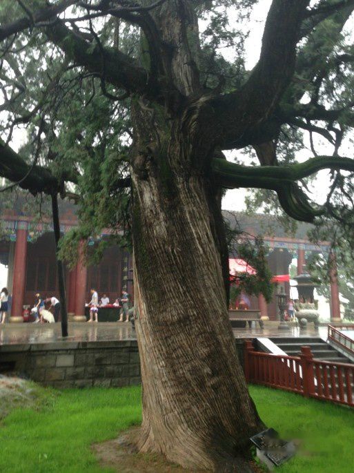 查看照片详细信息 天下民宿