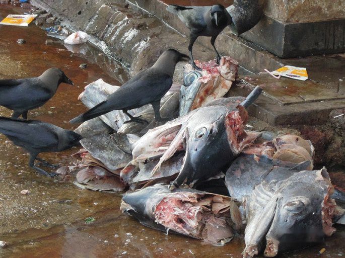 查看照片详细信息 天下民宿