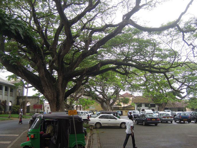 查看照片详细信息 天下民宿