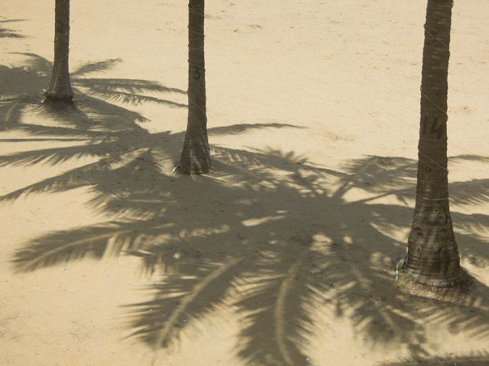 查看照片详细信息 天下民宿