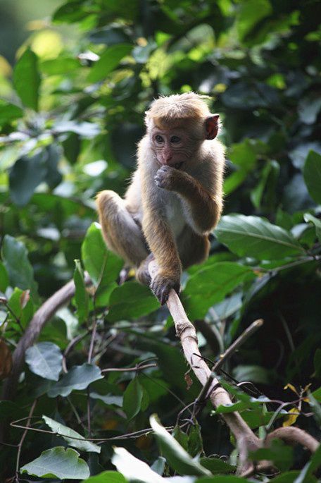 查看照片详细信息 天下民宿