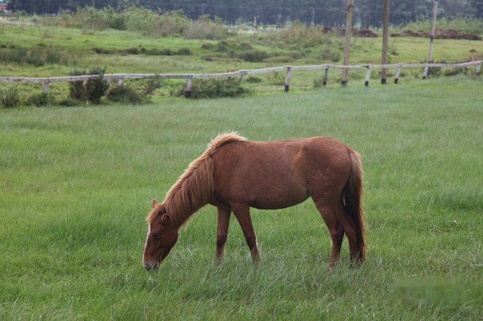 查看照片详细信息 天下民宿