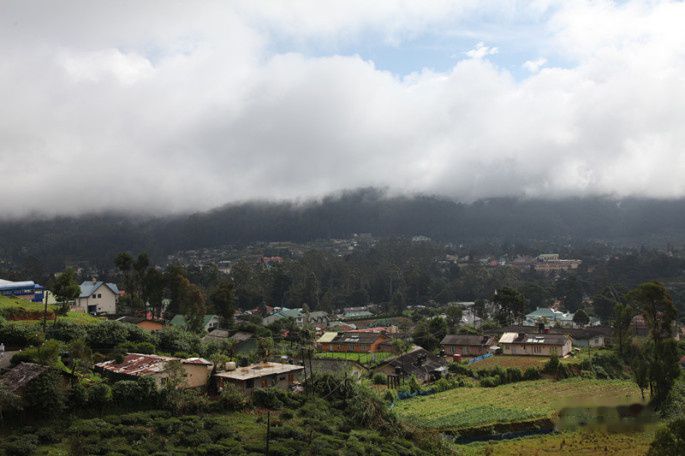 查看照片详细信息 天下民宿