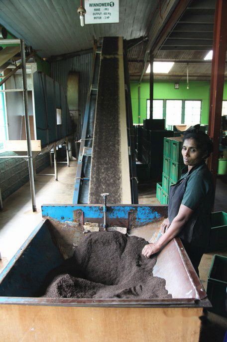 查看照片详细信息 天下民宿