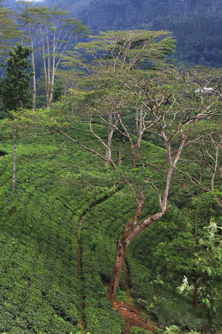 查看照片详细信息 天下民宿