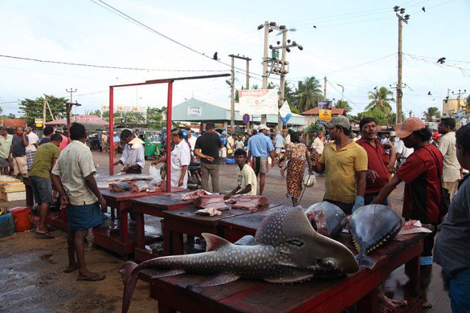 查看照片详细信息 天下民宿