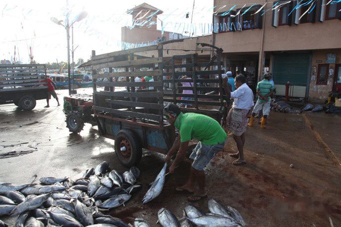 查看照片详细信息 天下民宿