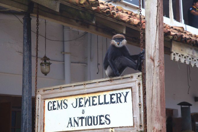 查看照片详细信息 天下民宿