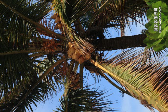 查看照片详细信息 天下民宿