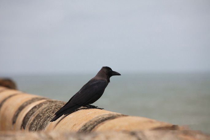 查看照片详细信息 天下民宿
