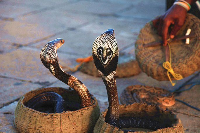 查看照片详细信息 天下民宿