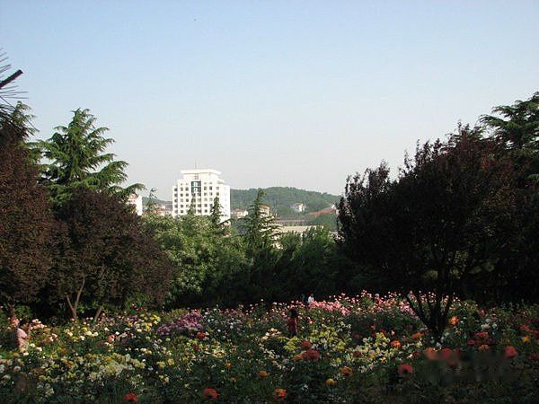 查看照片详细信息 天下民宿