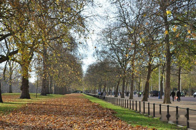 查看照片详细信息 天下民宿