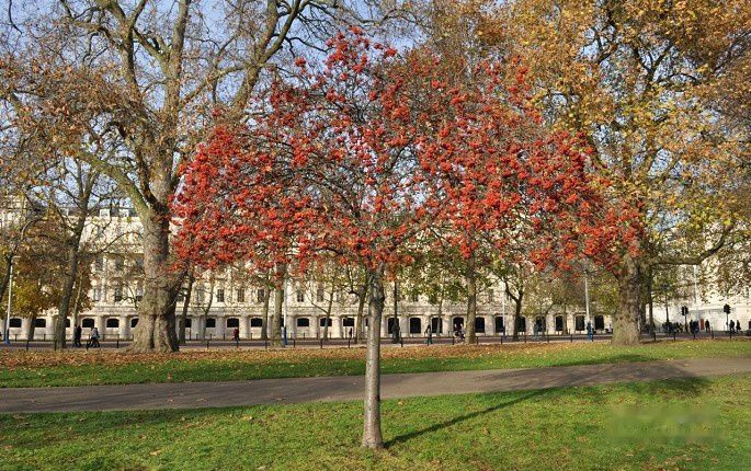 查看照片详细信息 天下民宿