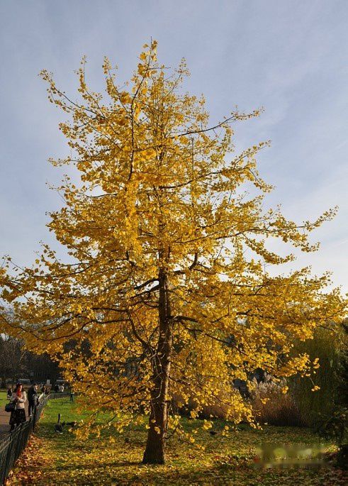 查看照片详细信息 天下民宿