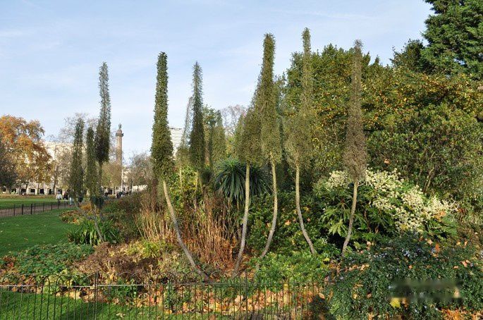 查看照片详细信息 天下民宿