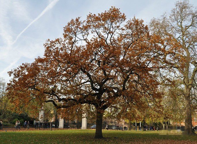 查看照片详细信息 天下民宿
