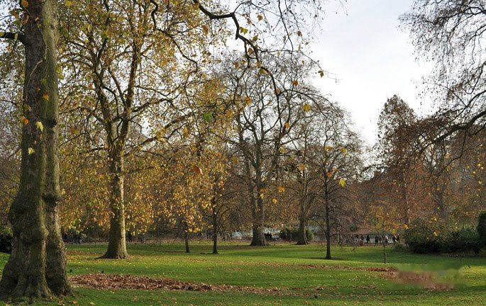 查看照片详细信息 天下民宿