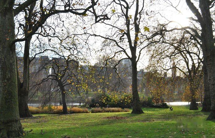 查看照片详细信息 天下民宿