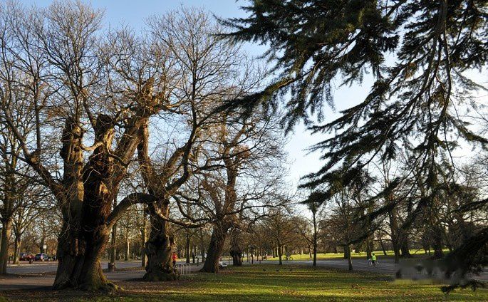 查看照片详细信息 天下民宿