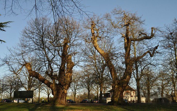 查看照片详细信息 天下民宿