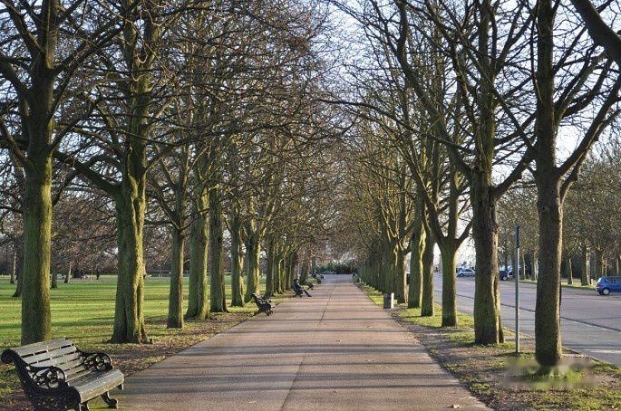 查看照片详细信息 天下民宿