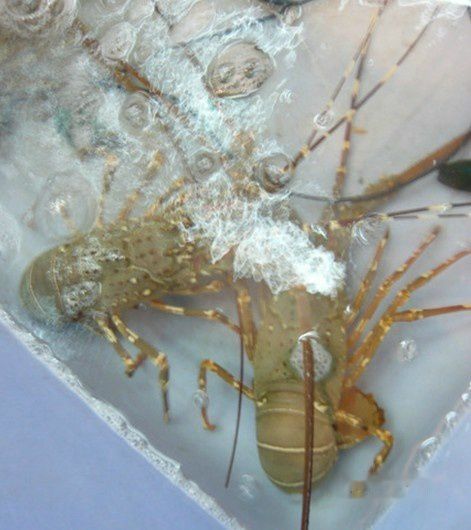 查看照片详细信息 天下民宿