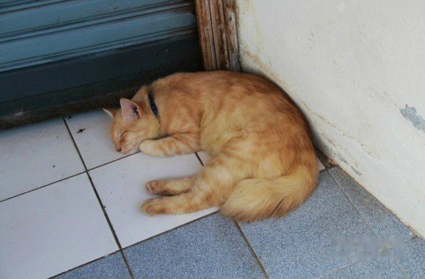 查看照片详细信息 天下民宿