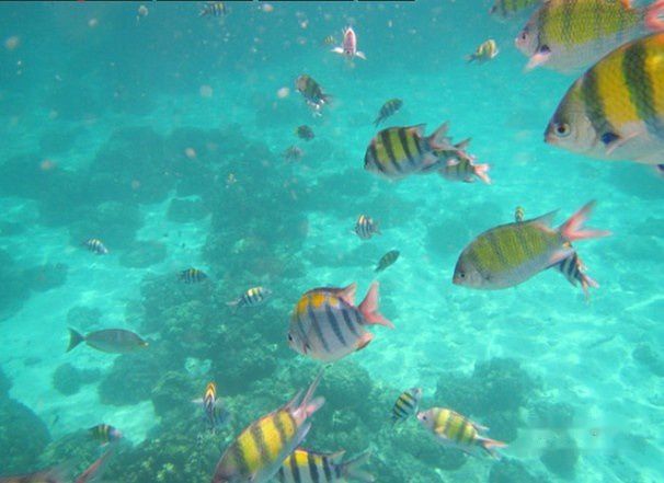 查看照片详细信息 天下民宿