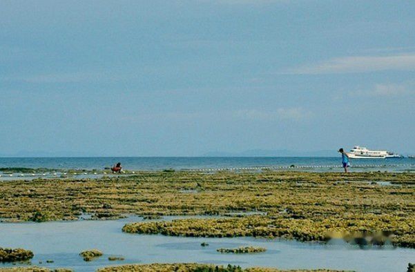 查看照片详细信息 天下民宿
