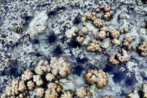 查看照片详细信息 天下民宿