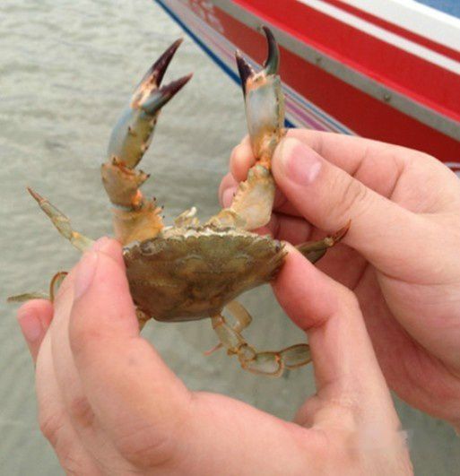 查看照片详细信息 天下民宿