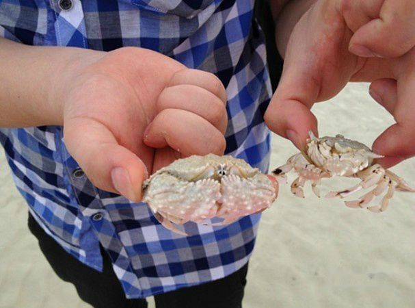 查看照片详细信息 天下民宿