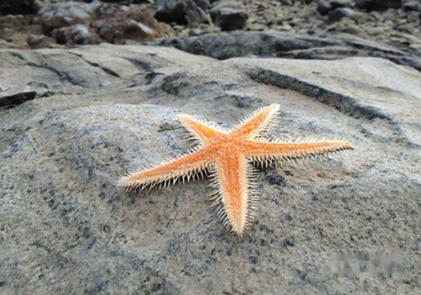 查看照片详细信息 天下民宿