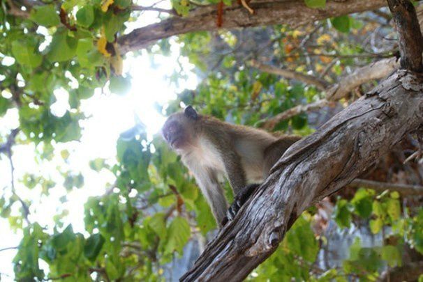 查看照片详细信息 天下民宿