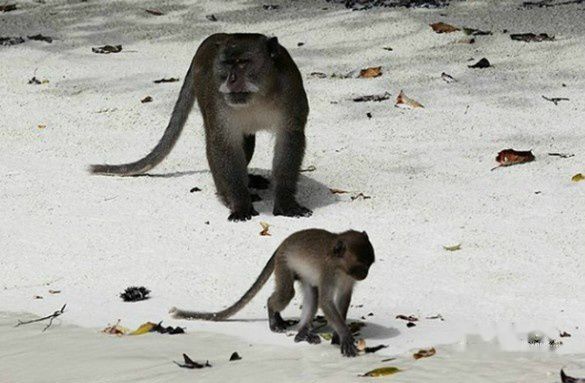 查看照片详细信息 天下民宿