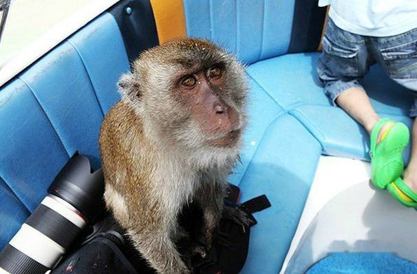 查看照片详细信息 天下民宿